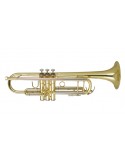 Dtr-250 Trompeta De Estudio En Bb