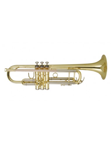 Dtr-250 Trompeta De Estudio En Bb