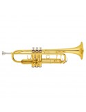 Cx-w072 Trompeta Gold Lacquer