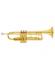Cx-w072 Trompeta Gold Lacquer